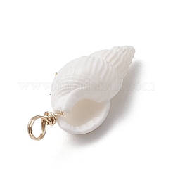 6Pcs 6 Styles Natural Shell Pendants&nbsp;PALLOY-JF03882