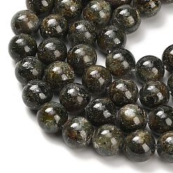 Natural Green Kyanite Beads Strands&nbsp;G-H335-B02-10mm-AB