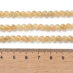 Natural Yellow Garnet Beads Strands&nbsp;G-Z129-C01-4mm-01