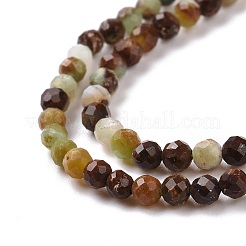 Natural Chrysoprase Beads Strands&nbsp;G-E591-08B