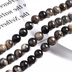 Natural Black Sunstone Beads Strands&nbsp;G-N328-48B-01