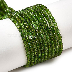 Natural Green Diopside Beads Strands&nbsp;G-NH0046-A01-01