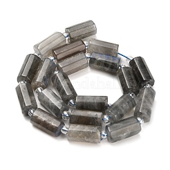 Natural Labradorite Beads Strands&nbsp;G-L634-W01-01