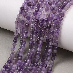 Natural Amethyst Beads Strands&nbsp;G-K373-B03-03