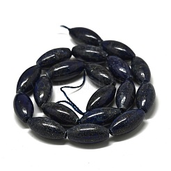 Natural Lapis Lazuli Beads Strands&nbsp;G-K311-11C-01