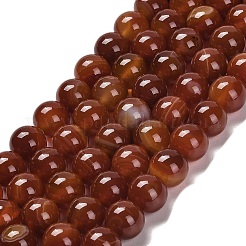 Natural Striped Agate/Banded Agate Beads Strands&nbsp;G-B079-A05-03A