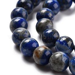 Natural Lapis Lazuli Bead Strands&nbsp;G-G953-02-8mm