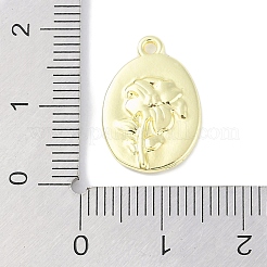 Rack Plating Spray Painted Alloy Pendants&nbsp;PALLOY-F018-14G-01
