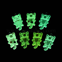 Luminous Transparent Resin Pendants&nbsp;RESI-T059-13