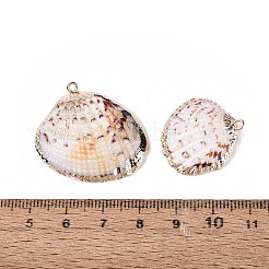 Electroplate Natural Sea Shell Pendants&nbsp;SSHEL-Q100-17KCG