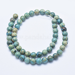 Natural Aqua Terra Jasper Beads Strands&nbsp;G-E444-14A-8mm