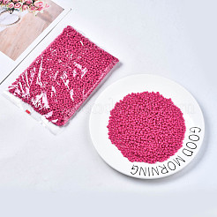 6/0 Glass Seed Beads&nbsp;SEED-S058-A-F421