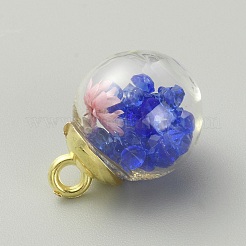 Transparent Glass Globe Pendants&nbsp;LS-GLAA-TAC0005-002E