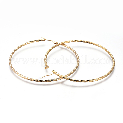 201 Stainless Steel Big Hoop Earrings&nbsp;EJEW-A054-06B-G