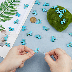 30Pcs Synthetic Turquoise Pendants&nbsp;G-HS0001-13B