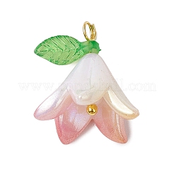 Opaque Acrylic Pendants&nbsp;PALLOY-JF03267