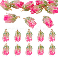 10Pcs Transparent Acrylic Pendants&nbsp;SACR-TA0001-66A