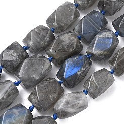Natural Labradorite Beads Strands&nbsp;G-C270-F01