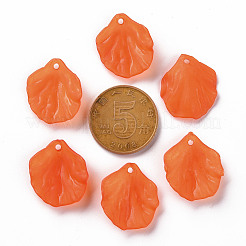 Transparent Frosted Acrylic Pendants&nbsp;MACR-S371-01A-726