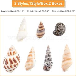 140Pcs 2 Style Natural Shell Beads&nbsp;SSHEL-FH0001-08
