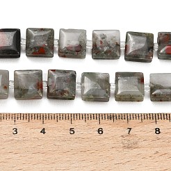 Natural African Bloodstone Beads Strands&nbsp;GG-F802-B17-01