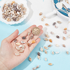 400Pcs Shell Beads&nbsp;BSHE-GO0001-05