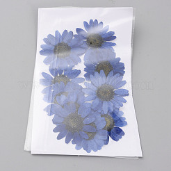 Pressed Dried Flowers&nbsp;DIY-WH0308-412E-1