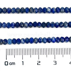 Natural Lapis Lazuli Beads Strands&nbsp;G-L587-B03-02