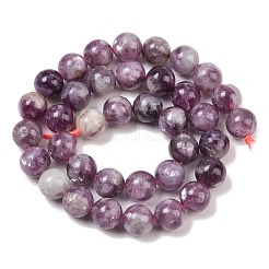 Natural Lepidolite/Purple Mica Stone Beads Strands&nbsp;G-G160-A01-02A
