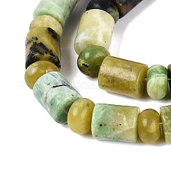 Natural Serpentine Beads Strands&nbsp;G-Q616-09H