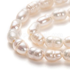 Natural Cultured Freshwater Pearl Beads Strands&nbsp;X-PEAR-J005-60