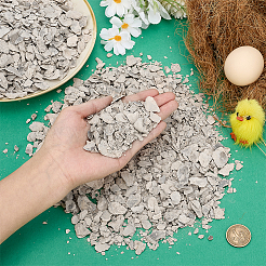 1000g Oyster Shells for Home Vase Filler&nbsp;DIY-PH0034-80