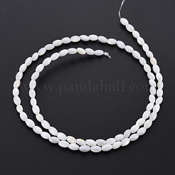 Natural Freshwater Shell Beads Strands&nbsp;SHEL-N027-08A