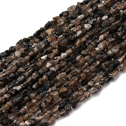 Natural Chiastolite Beads Strands&nbsp;G-I389-A26