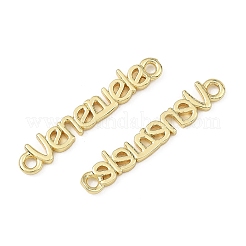 Brass Pendants&nbsp;KK-B198-06G