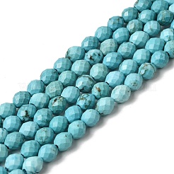 Dyed Natural Howlite Beads Strands&nbsp;G-K376-F06-01