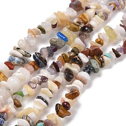 Natural & Synthetic Gemstone Chips Beads Strands&nbsp;G-L154-21