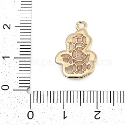 Alloy Pendants&nbsp;FIND-K020-17G