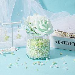 2 Sets Plastic Beads&nbsp;KY-SC0002-24B