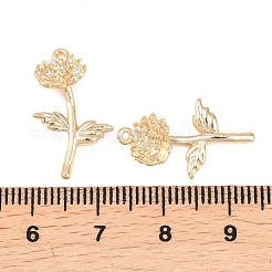 Brass Pendants&nbsp;KK-A288-01G-11
