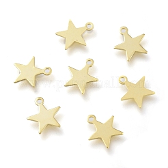 Brass Charms&nbsp;X-KK-H739-01B-G