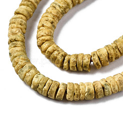 Natural Sea Shell Beads Strands&nbsp;SSHEL-N032-22E