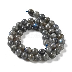 Natural Labradorite Beads Strands&nbsp;G-S333-8mm-035
