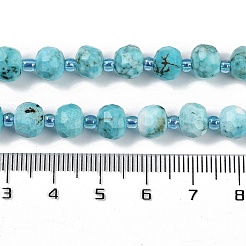 Dyed Natural Howlite Beads Strands&nbsp;G-H057-A18-01