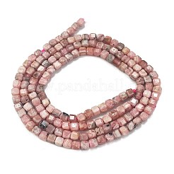 Natural Argentina Rhodonite Beads Strands&nbsp;LS-G-Z057-A01-01