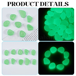 1 Set Resin Luminous Glow in the Dark Pebbles Stone&nbsp;DJEW-CN0001-40D