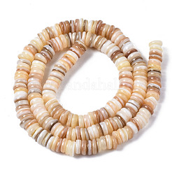 Natural Freshwater Shell Beads Strands&nbsp;SHEL-Q025-001