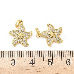 Brass Micro Pave Cubic Zirconia Charms&nbsp;LS-KK-I381-05G-01