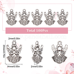 Tibetan Style Alloy Pendants&nbsp;FIND-SC0004-43