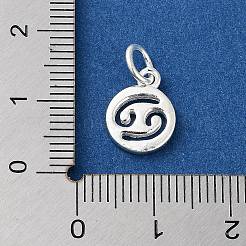 925 Sterling Silver Constellations Charms&nbsp;STER-M118-01J